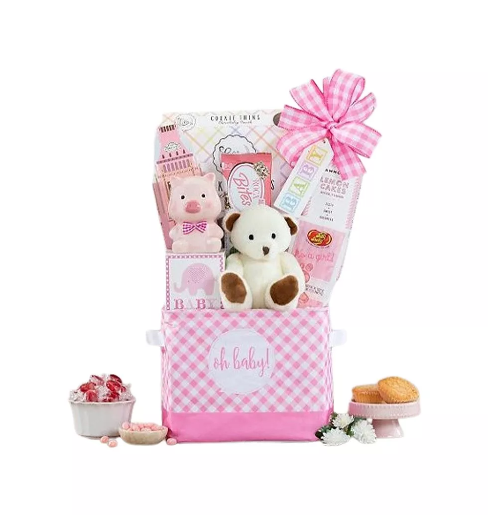 New Moms Charming Gift Basket